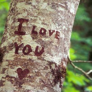 Meet your Posher, Irum